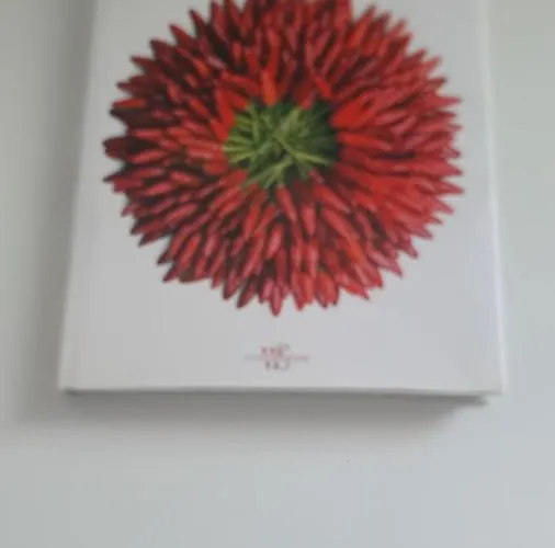 Residenza La Terrazza Locazione Turistica Apartament Bari