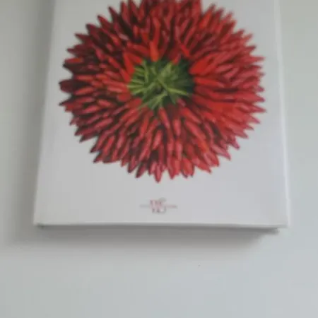 Residenza La Terrazza Locazione Turistica Appartamento Bari